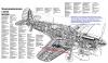 p40.jpg